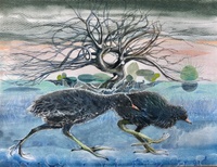 moorhen, wildlife art, chicks.