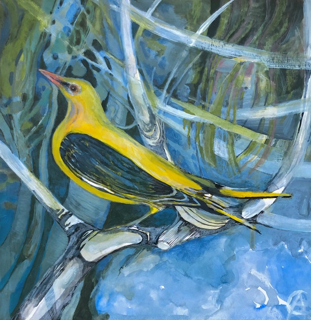 Golden Oriole painting