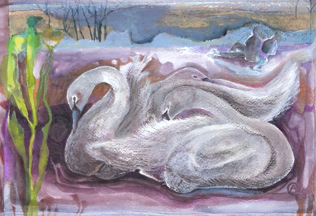 Sleeping Swans paintings