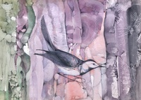 wagtail, bird, wildlife art