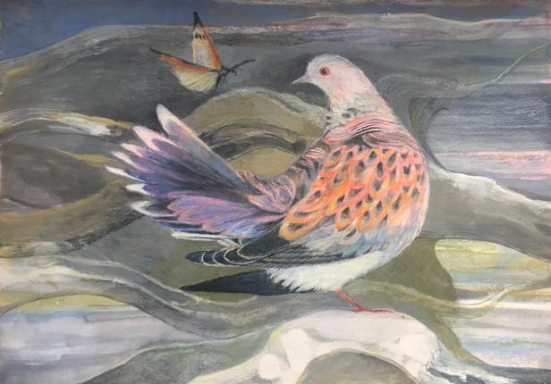 Turtle Dove Painting