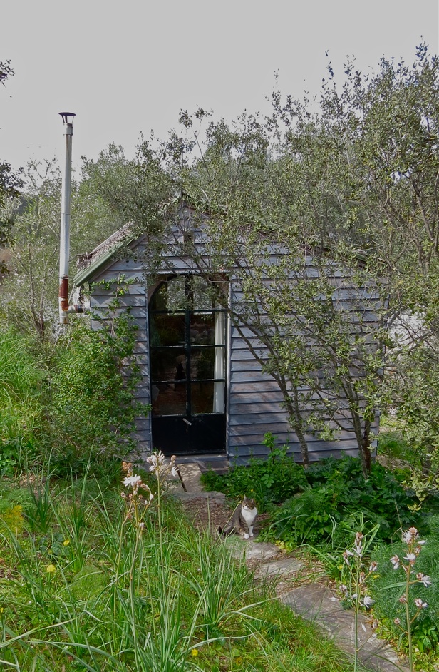 Wooden cabin studio olive trees